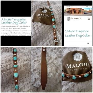 Turquoise and silver dog collar.